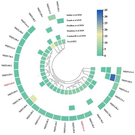 The impact of methylation quantitative trait loci (mQTLs) on active 